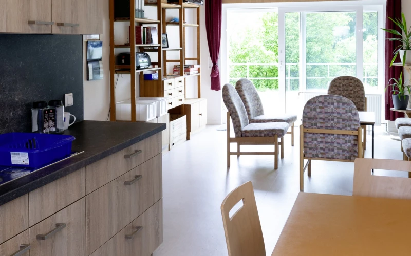 Blick in einen Ess- und Wohnzimmer mit K&uuml;chenzeile. Gro&szlig;e Fenstern und Regale mit B&uuml;chern, sowie eine Pflanze stehen im Hintergrund. und roten Vorh&auml;ngen.