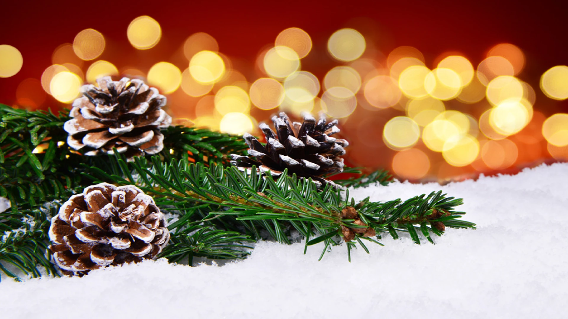 Adventsstimmung: Drei verschneite Tannenzapfen an einem Tannenzweig sind zu sehen, die vor einem unscharfen Lichterhintergrund liegen.