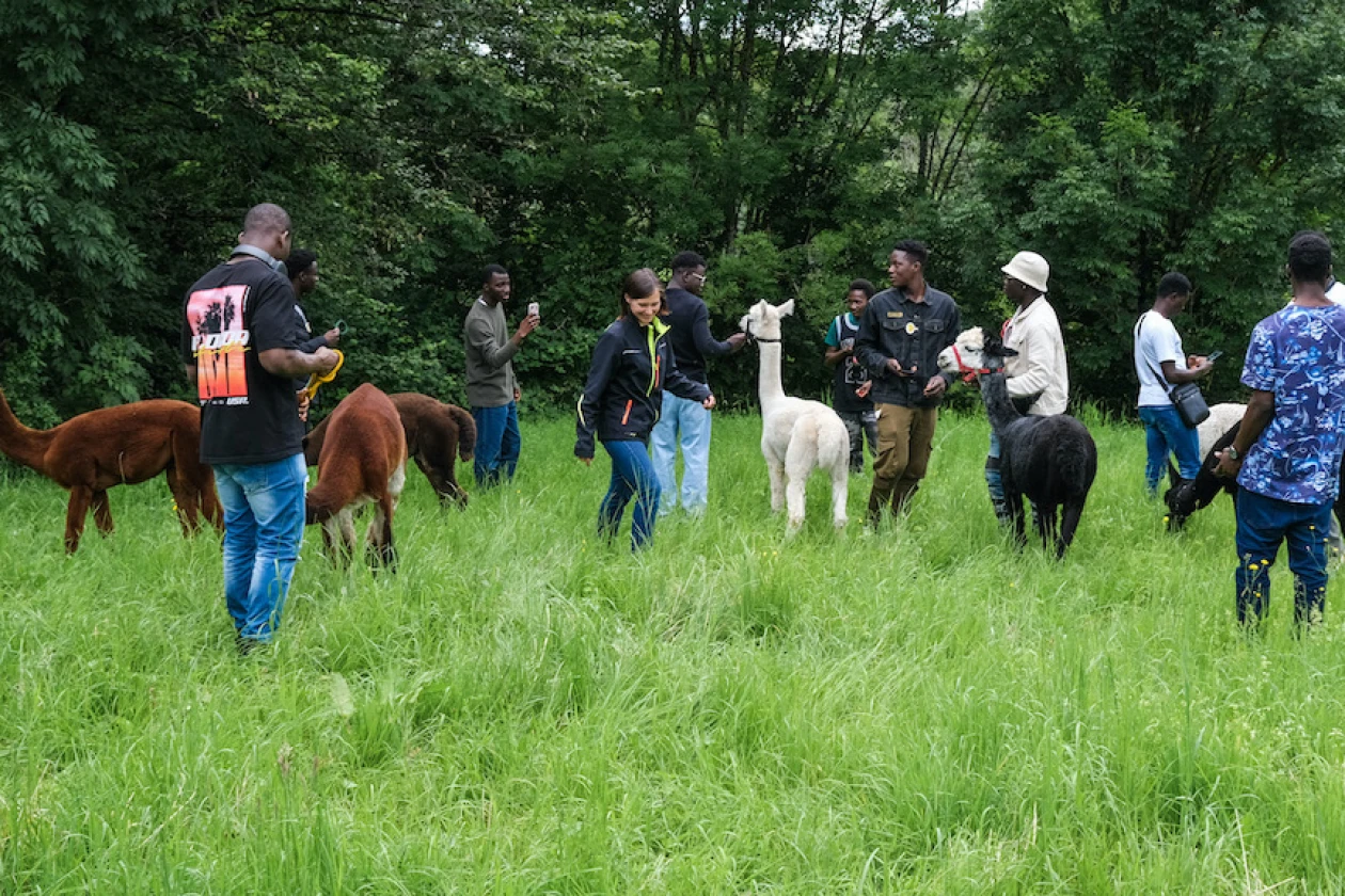 Eine Gruppe von Menschen steht auf einer gr&uuml;nen Wiese mit verschiedenfarbigen Alpakas. Im Hintergrund sind B&auml;ume zu sehen.