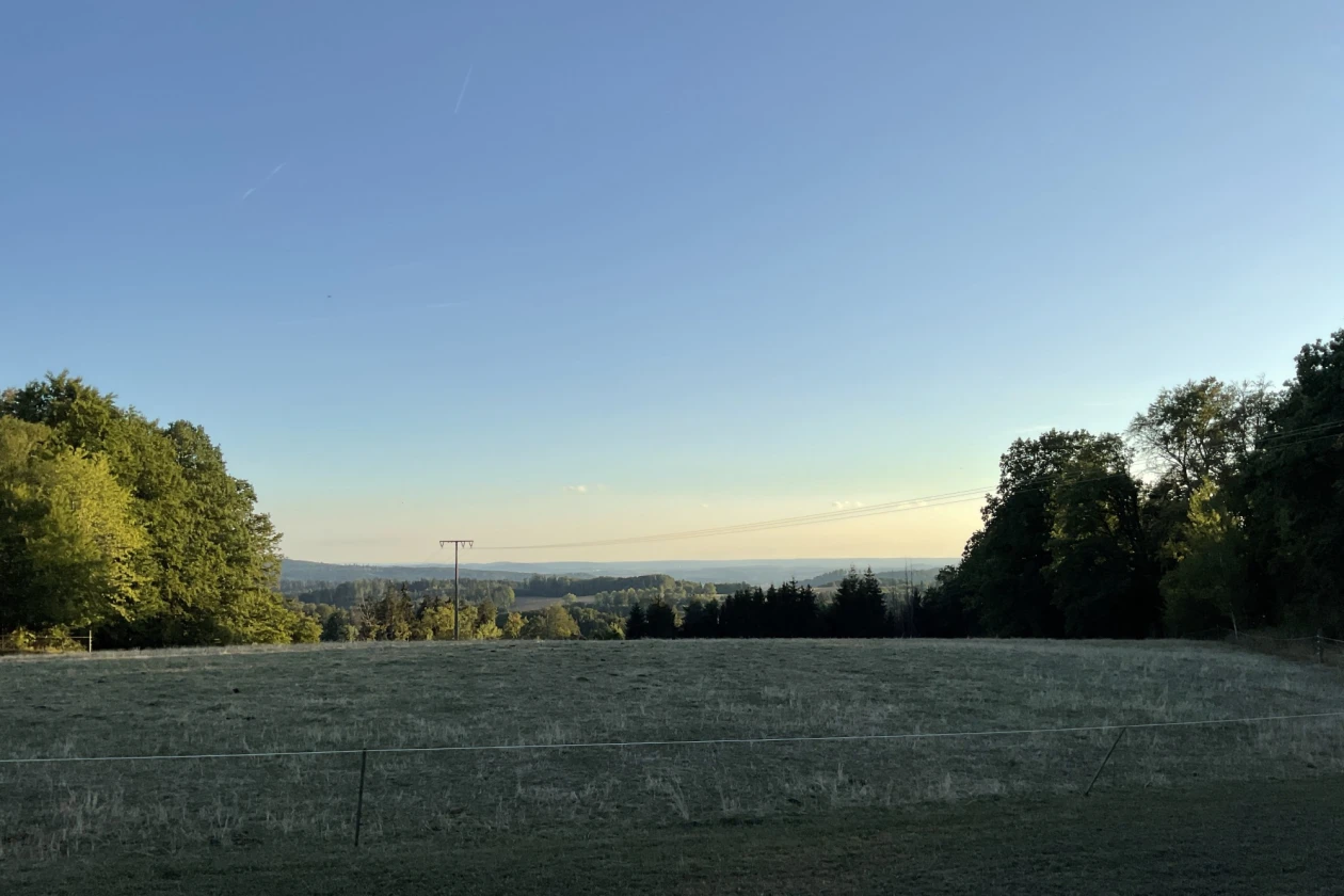 Ausblick &uuml;ber eine Weidefl&auml;che und Wald in die Ferne.