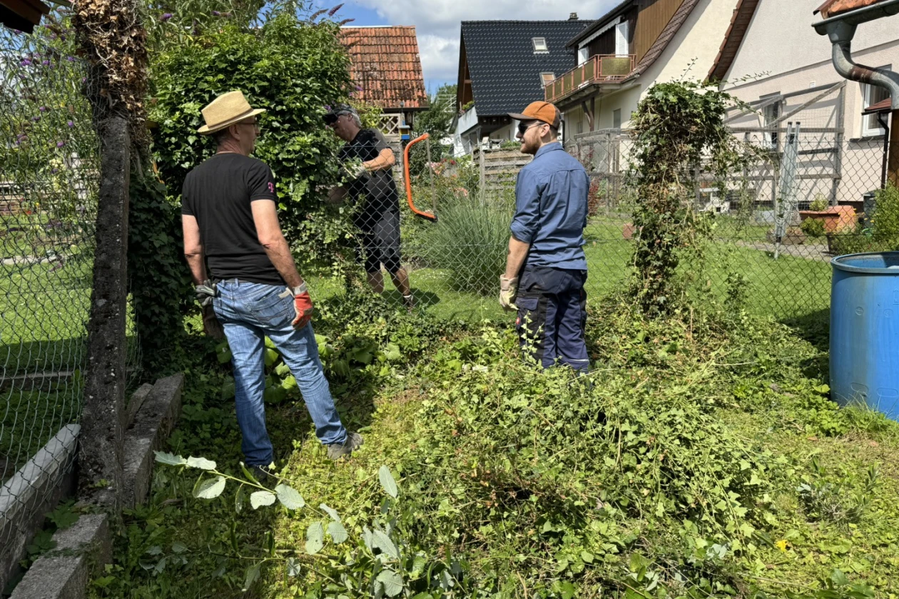 Drei Personen arbeiten in einem verwilderten Garten, entfernen Geb&uuml;sch und Unkraut. Im Hintergrund sind weitere Geb&auml;ude und ein Zaun zu sehen.