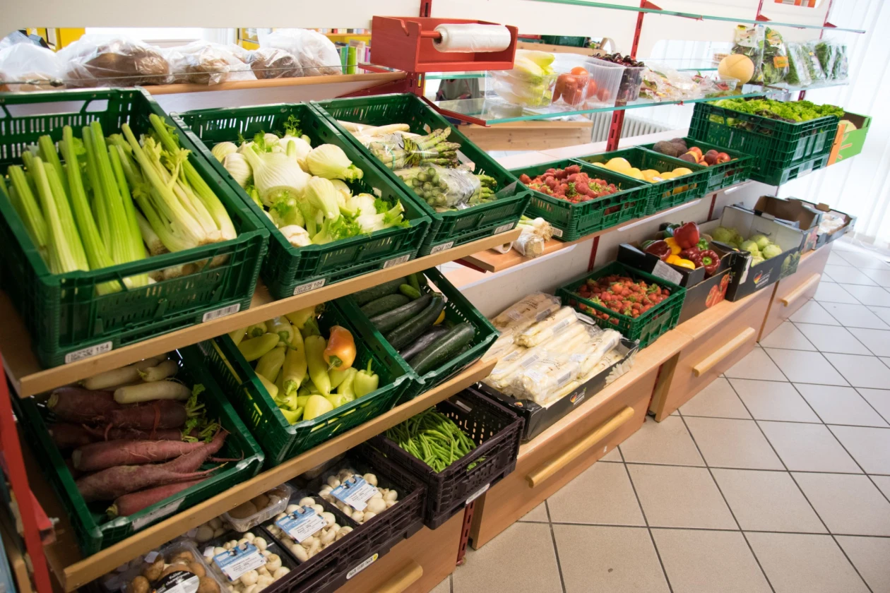 Verschiedene Gem&uuml;sesorten liegen in gr&uuml;nen Kisten auf einem Gem&uuml;seregal. Darunter Paprika, Zucchini, Gurken, Sellerie, Fenchel, Champignons und vieles mehr.