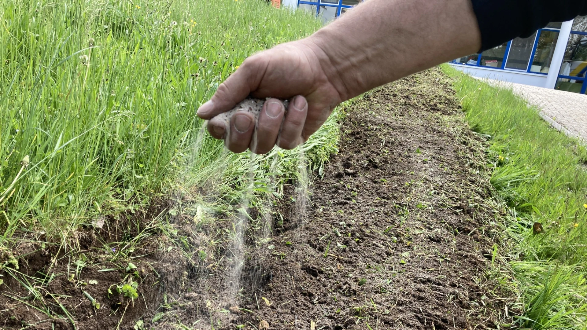 Eine Hand, die auf ein Beet Samen streut. Im Hintergrund ist Gras und ein Geb&auml;ude zu sehen.